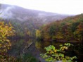 /album/de-omgeving/rursee-mist-jpg/